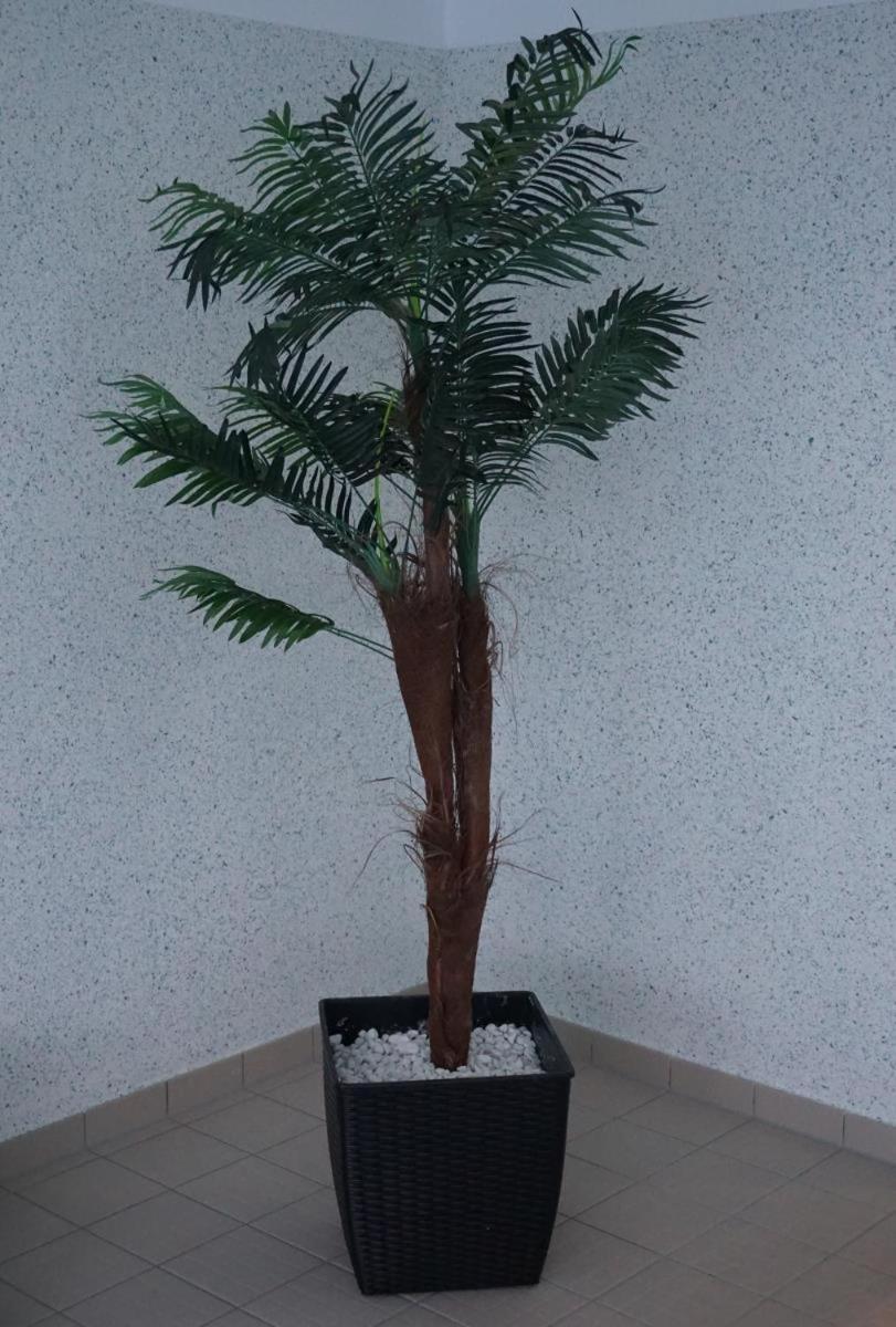 부숨 Residenz Rosengrund Whg O3 아파트 외부 사진